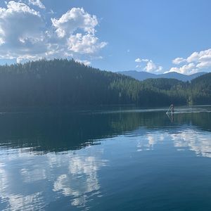 Meet your Posher, Miss P